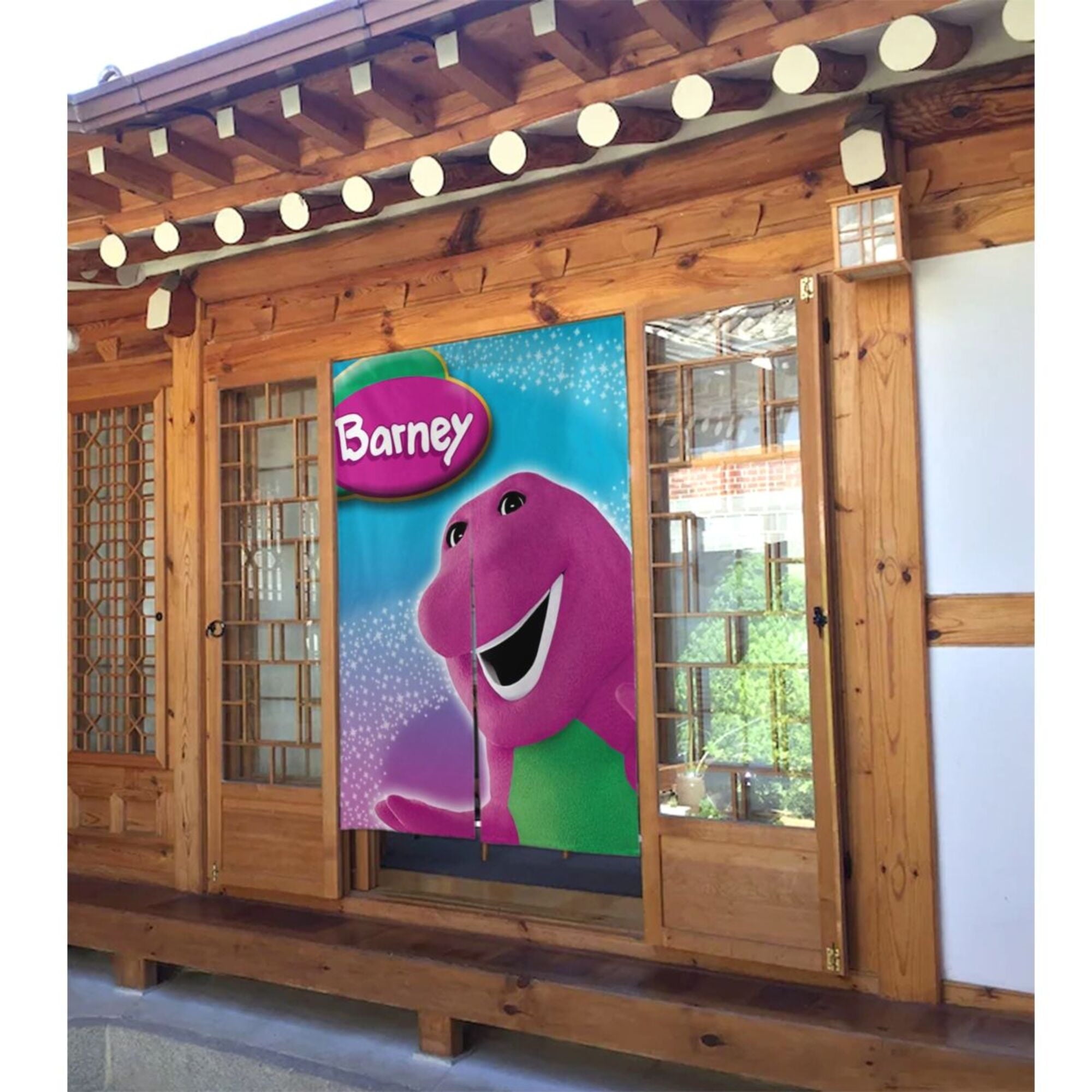 Barney And Friends Door Curtains for Doorway Privacy Dividers Curtain Blackout Tapestry Door Window Curtain for Home Bedroom Kitchen Decoration 34x56in